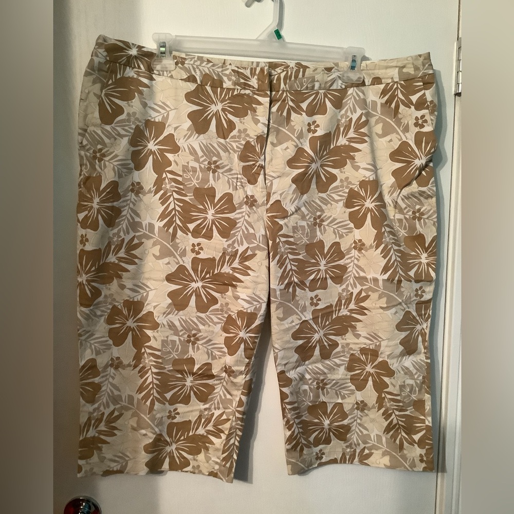 Ladies Short Pants